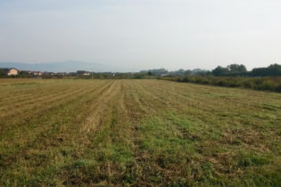 JAVNI POZIV za podnošenje zahtjeva za zakup poljoprivrednog zemljišta u vlasništvu države na području grada Gradačca