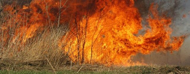 Vatrogasci gasili dva požara na Lipici – Servisne informacije za 27.03.2022.