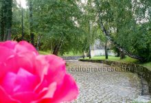 Servisne informacije za 23.05.2026.