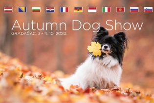 Za vikend Autumn Dog Show Gradačac 2020