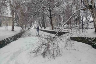 Upozorenje građanima da budu oprezni prilikom prolaska ispod krošnji drveća