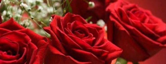 Čestitka gradonačelnika povodom Međunarodnog dana žena