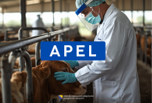 APEL građanima povodom Kurban-bajrama: Zdravlje ljudi, životinja i očuvanje životne sredine su zajednička odgovornost