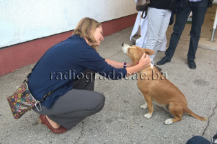 U Gradačcu otvoren Centar za humano zbrinjavanje pasa