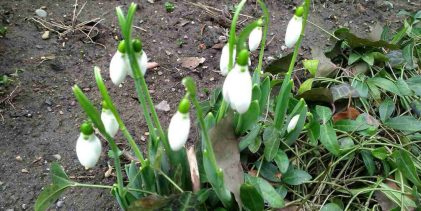 Agrometeorološka prognoza od 9. do 15.2.2026. godine