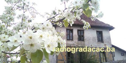 Agrometeorološka prognoza od 6. do 12.4.2026. godine