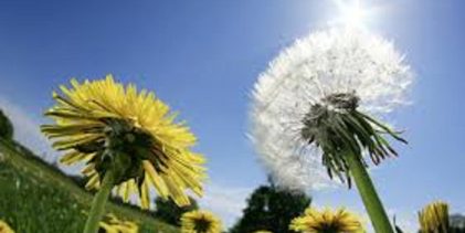 Servisne informacije za 08.04.2026.