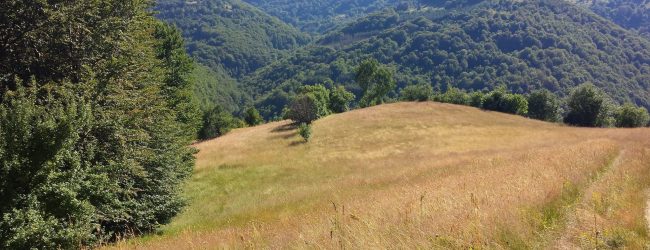 Najava uspostave i zamjene zemljišne knjige za k.o. Gornja Međiđa, Donja Međiđa, Kerep i Srebrenik Grad