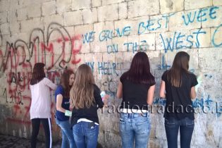 Čišćenjem grafita obilježen Svjetski dan kulturne raznolikosti