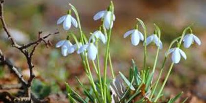 Servisne informacije za 25.02.2026.