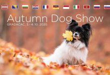 Za vikend Autumn Dog Show Gradačac 2020
