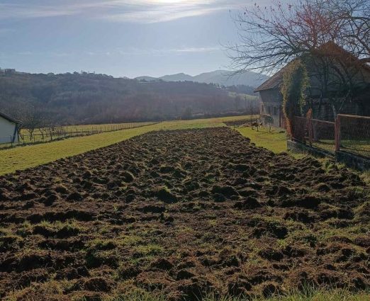 Veće površine planirane za jesenju sjetvu u Tuzlanskom kantonu
