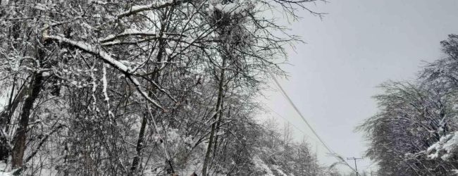 Prijava štete od velikih sniježnih padavina podnosi se do 8. janura 2025. godine