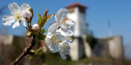 Servisne informacije za 10.04.2026.