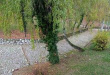 Servisne informacije za 11.11.2025.