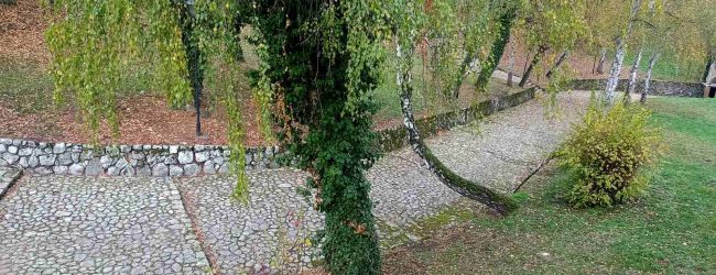 Servisne informacije za 11.11.2025.