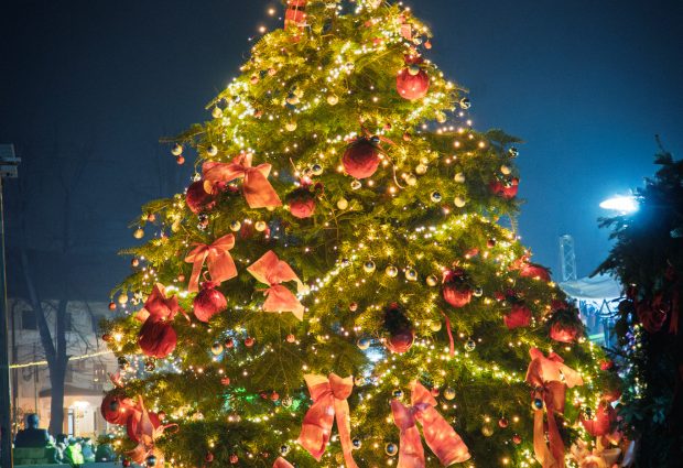 Predsjedavajući Gradskog vijeća Nedžad Šećić čestitao Božić