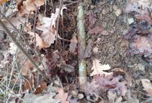 FUCZ: UKLANJANJE EKSPLOZIVNIH SREDSTAVA